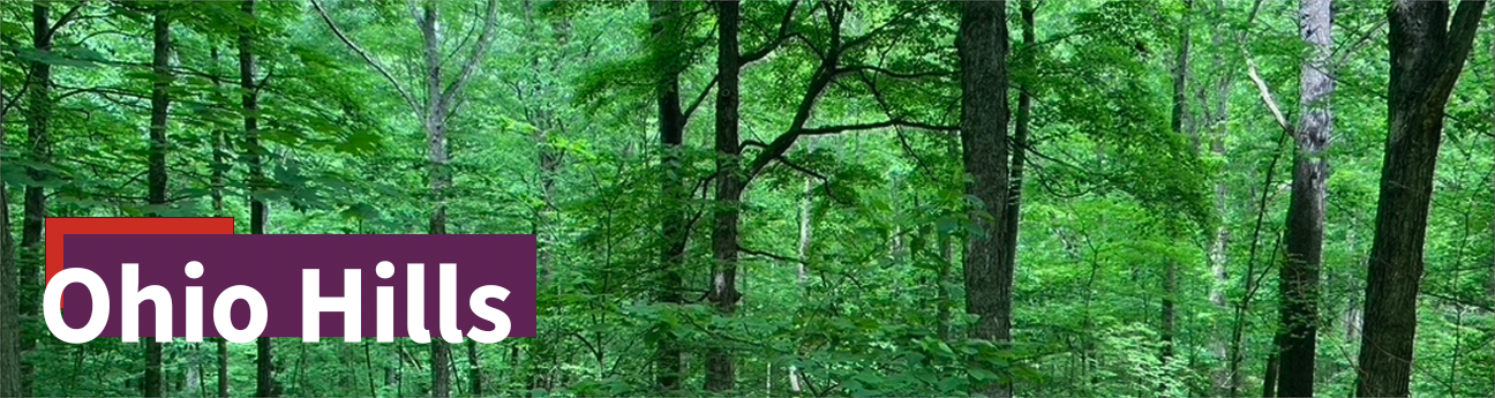 Ohio Hills banner image showing green deciduous foliage