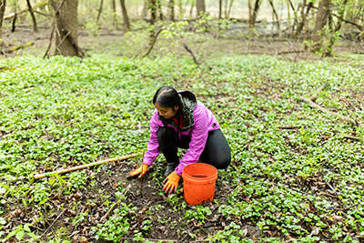 Volunteers planting trees at Crosby Farm Regional Park 
