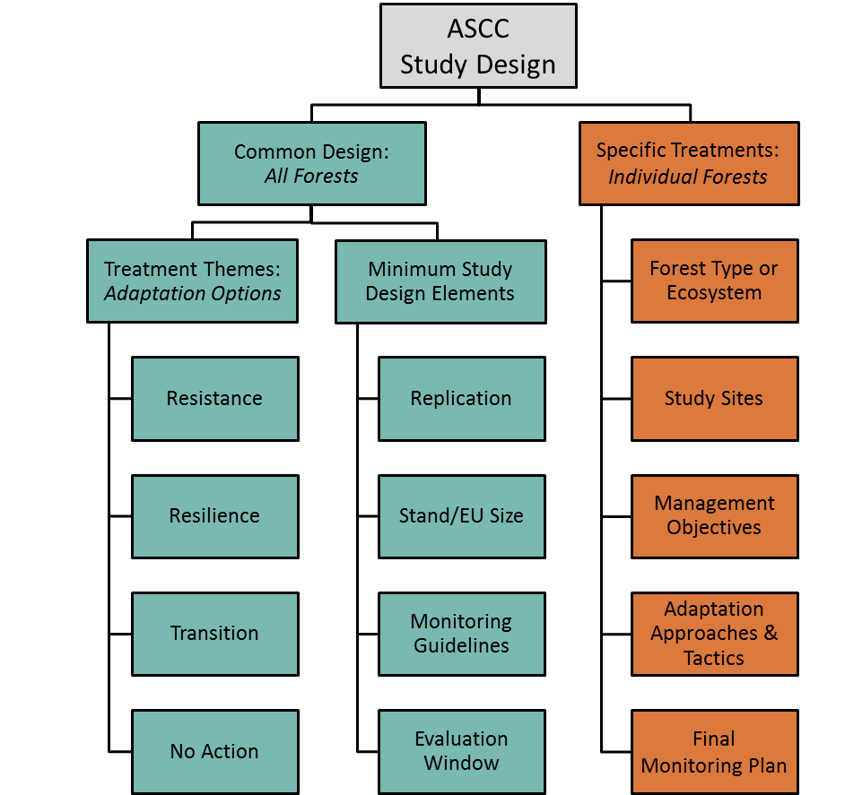 flowchart of ascc study design