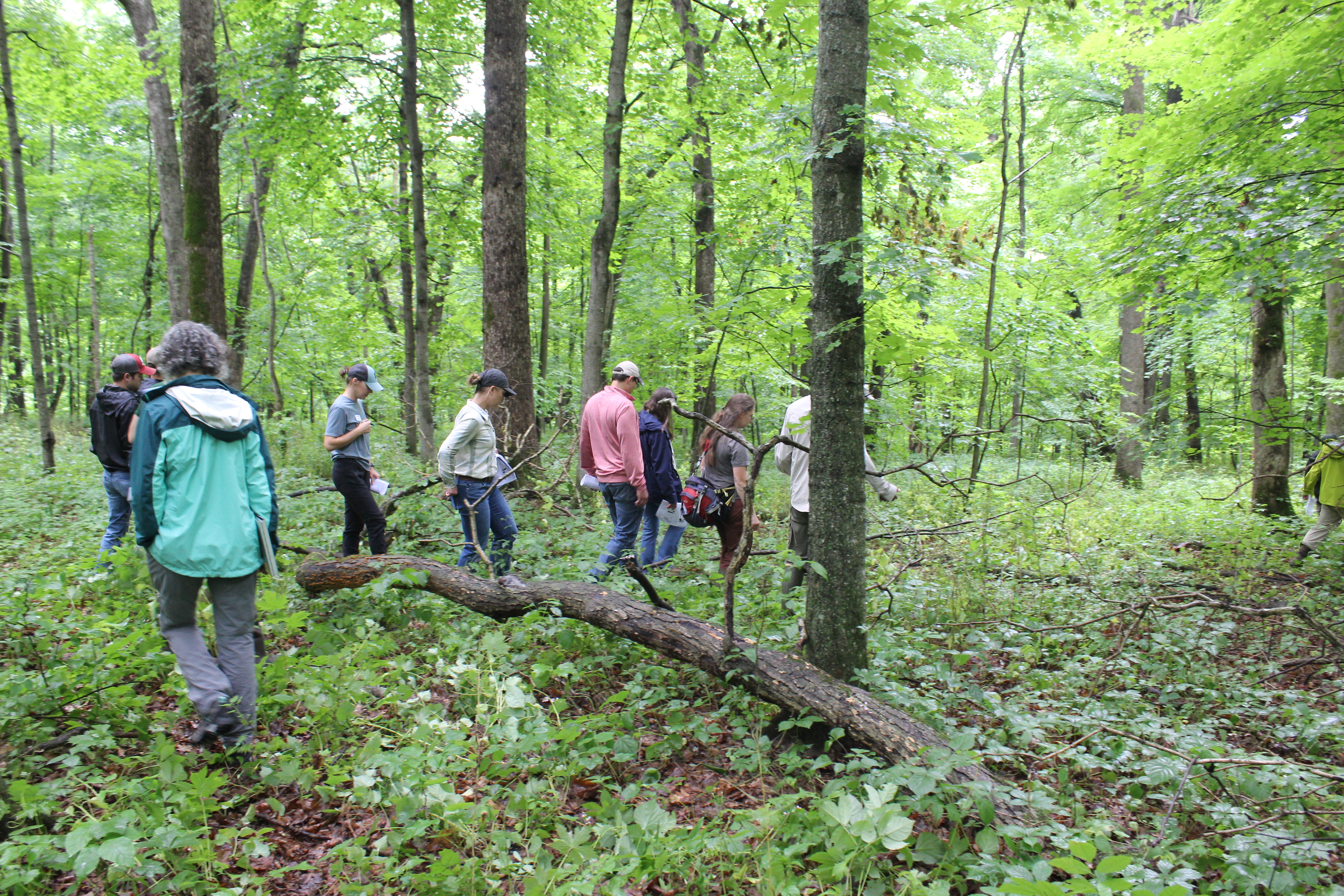 Researchers touring the Driftless ASCC project site during the workshop