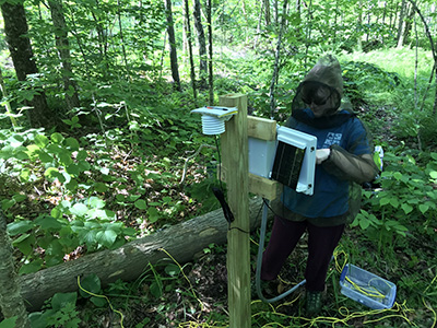 Emma Hazard (Dartmouth College) installing deadwood moisture sensors for examining fuel moisture dynamics in response to treatments and precipitation dynamics. Photo credit: David Lutz, Dartmouth College