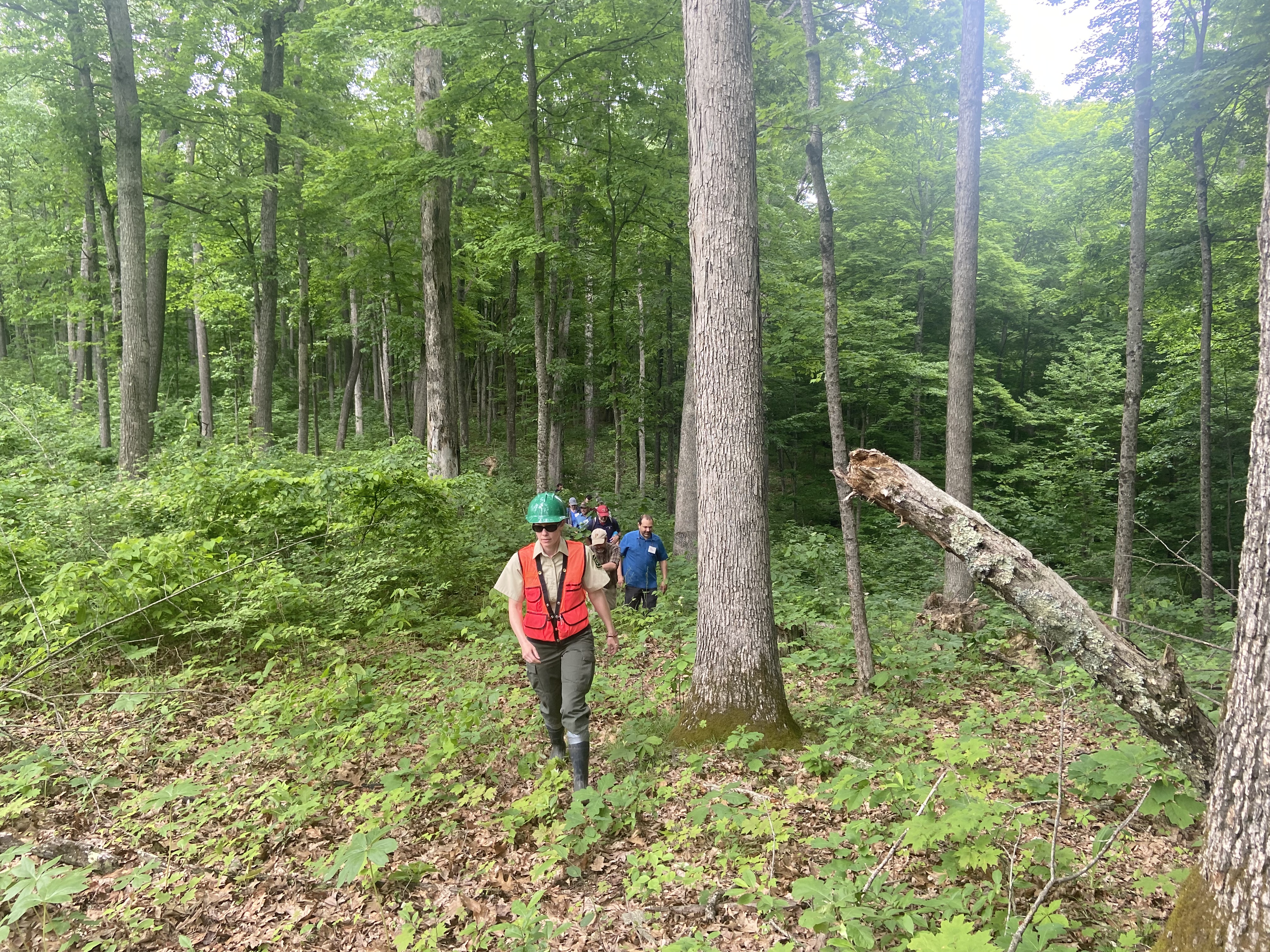 Foresters leading a site tour during the initial workshop
