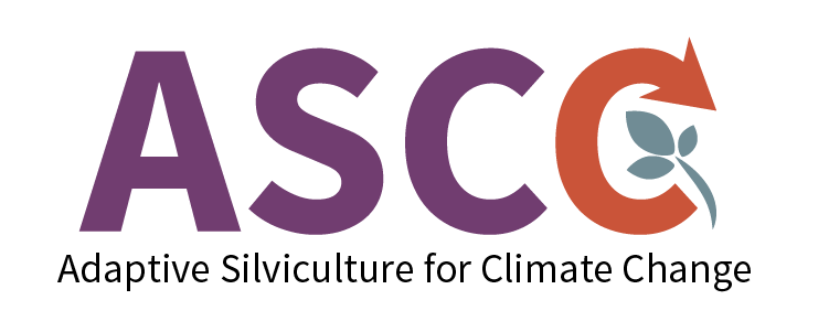 ASCC Logo 